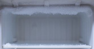 Dossier : Freezer ou congélateur ? Tout ce qu'il faut savoir