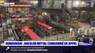Dunkerque: Arcelor Mittal condamné pour discrimination syndicale en appel