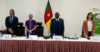 Cameroun : pour une meilleure chaine d‘approvisionnement du coton
