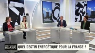 Ça vous regarde - Nucléaire : 30 ans de "divagation politique" ?