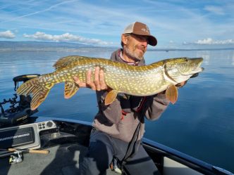Comment pêcher le brocher au printemps ? Les leurres et spots à pêcher