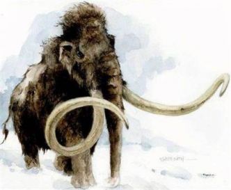 Le mammouth et l'homme de la préhistoire