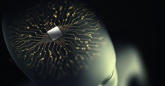 Contrôle du cheptel humain, puce sous-cutanée, implant dans le cerveau...