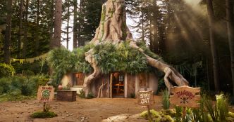 Le marais de Shrek a été transformé en Airbnb – voici comment y séjourner gratuitement