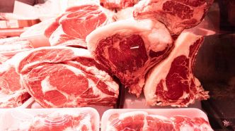 Régime carnivore : sur TikTok, les masculinistes ne jurent que par la viande crue et le beurre