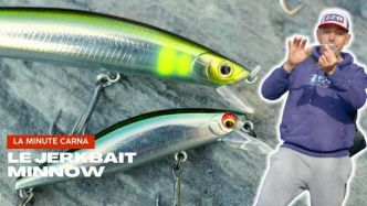 [TUTO] Tout savoir sur la pêche au Jerkbait Minnow - La Minute Carna