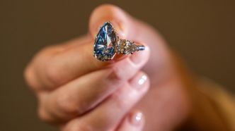 Le Bleu Royal, "meilleur diamant de sa catégorie", prêt à battre des records à Genève