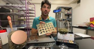 Vidéo. Verdun : l'émotion au cœur d'une goutte de chocolat