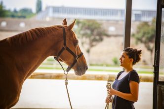 Education et dressage du cheval : les principes de l'apprentissage - Sellerie Caval Connect