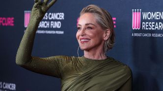 Sharon Stone en total look argent et cuissardes : elle fait fureur à 65 ans