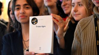 Neige Sinno reçoit le Goncourt des Lycéens pour «Triste tigre»