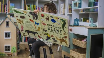 Des imagiers aux mangas, comment les livres font (vraiment) grandir les enfants