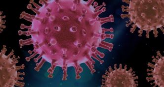 Vidéo: Le virus n’a jamais existé. Michel Chossudovsky