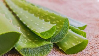 Vertus de l'aloe vera
