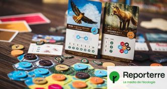 Jeux de société écolos : comment choisir pour en offrir à Noël ?