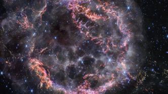 James-Webb capture une nouvelle photo spectaculaire de l'explosion d'une étoile
