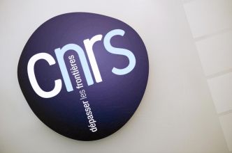 Un couple de chercheurs soupçonnés d'inconduite scientifique