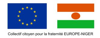 Les Français du Niger interpellent l'Elysée