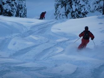 La différence entre le ski de randonnée et freeride ?