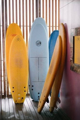 Planche de Surf : Shortboard,, Fish, Mini Malibu, Longboard