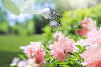 Comment se lancer dans le jardinage écologique ?