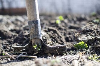 Conseils pratiques pour jardiner avec la lune