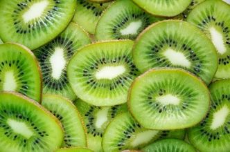 Comment faire pousser les kiwis chez soi ?