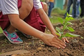 Que faire au mois de Mars pour un jardinier ?