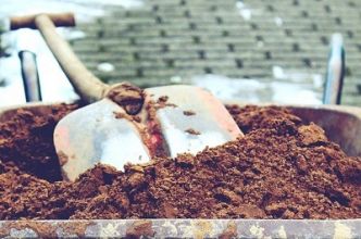Comment protéger son jardin de la sécheresse ?