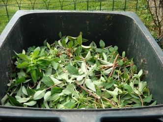 Comment faire du compostage facilement pour son jardin ?