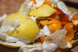 De la cuisine au jardin : valorisez vos déchets domestiques