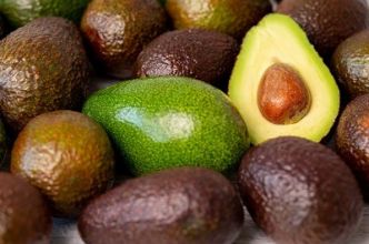 Comment faire pousser des avocats soi-même chez soi ?