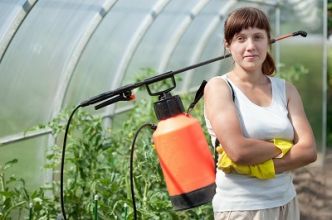 Pulvérisateur de jardin : les points essentiels à connaître pour une utilisation judicieuse