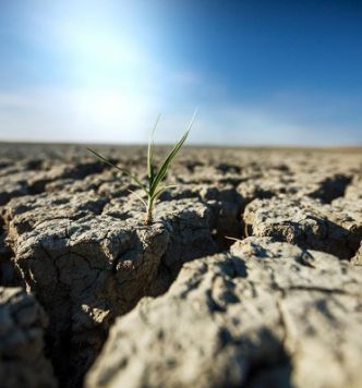 Le réchauffement climatique et ses conséquences sur la Terre