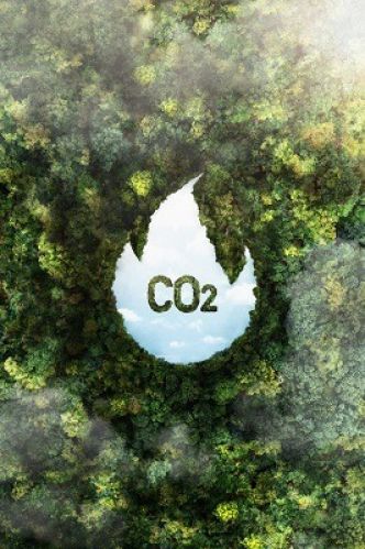 Différence entre l'empreinte carbone et l'empreinte écologique