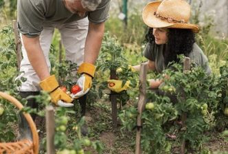Le Jardinage et la Permaculture : Un Tournant Majeur dans la Pratique du Survivalisme