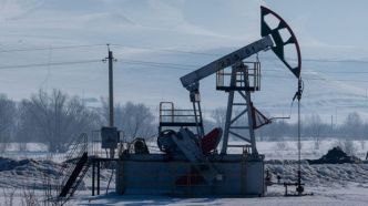 Tucker #Carlson explique que le #pétrole n'est pas du tout une énergie fossile (= qui provient de la désagrégation de fossiles)