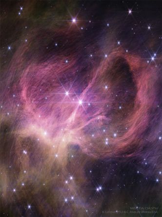 L'amas d'étoiles IC 348 par Webb