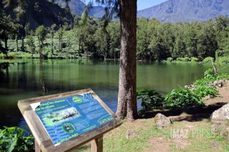 Une formation en ligne gratuite pour apprendre à connaître la biodiversité de La Réunion et les enjeux à la préserver