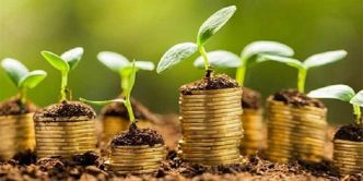 Projets verts : l'ANEF lance la 2e édition de "Green Start-up"
