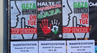Action de sensibilisation ''Stop le Génocide à Gaza'' à Brest
