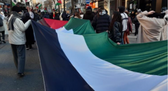 Marche ''Halte au génocide à Gaza !'' à Lyon