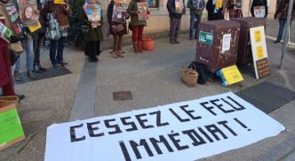Marche pour Gaza à Lyon