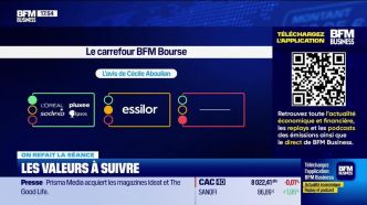 On refait la séance : L'oréal, Pluxee, Sodexo, Ipsos, Essilor Luxotica - 19/04