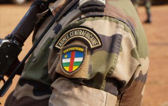 RCA : les instructeurs russes et les Faca libèrent 14 enfants du groupe terroriste LRA (Autre presse)