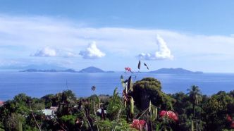 "C'est dangereux désormais": en Guadeloupe, l'érosion côtière ronge le littoral