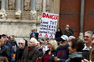 "Si l'Etat veut une ZAD..." : on rembobine la polémique qui enfle autour de la ligne à 400 000 volts en Camargue