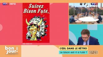 Bonjour ! La Matinale TF1 - Le bison est-il si futé ? | TF1 INFO