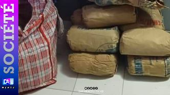 Bantako (Kédougou) : Un homme arrêté avec 300 kg de chanvre indien qu'il avait dissimulés sous un matelas