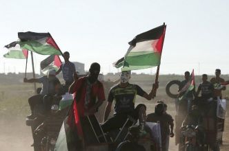 Mobilisation en soutien à Gaza : affrontement entre les manifestants et la police aux Pays-Bas